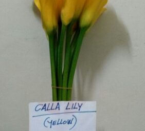 CALLA-LILY-YELLW.jpg